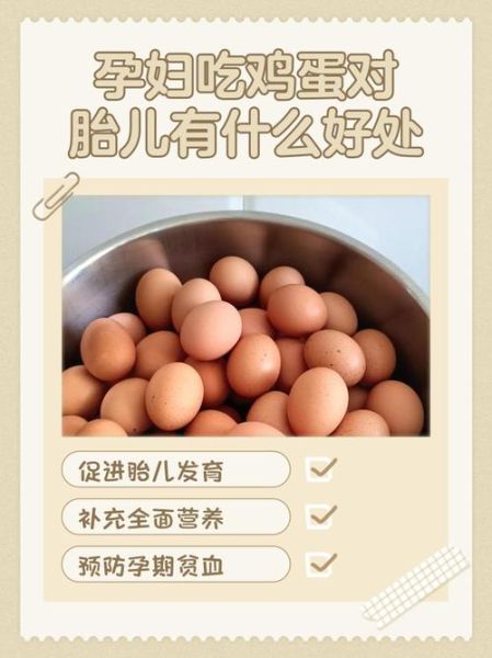 孕妇不吃鸡蛋怎么办_孕妇不吃鸡蛋如何补蛋白-第3张图片-星辰妙记
