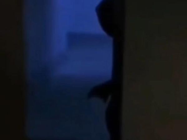 诡异镜头是什么_如何识别诡异镜头-第2张图片-星辰妙记 诡异镜头是什么_如何识别诡异镜头-第2张图片-星辰妙记