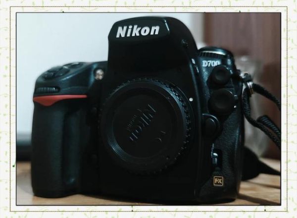 尼康d7000配什么镜头_尼康d7000镜头推荐-第2张图片-星辰妙记 尼康d7000配什么镜头_尼康d7000镜头推荐-第2张图片-星辰妙记