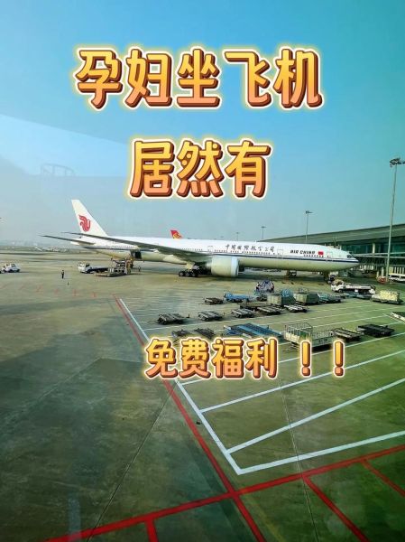 孕妇梦见坐飞机是什么意思_孕妇梦见坐飞机预示生男生女-第1张图片-星辰妙记 孕妇梦见坐飞机是什么意思_孕妇梦见坐飞机预示生男生女-第1张图片-星辰妙记