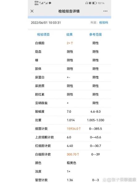 孕妇尿常规细菌高怎么回事_对胎儿有影响吗-第1张图片-星辰妙记 孕妇尿常规细菌高怎么回事_对胎儿有影响吗-第1张图片-星辰妙记