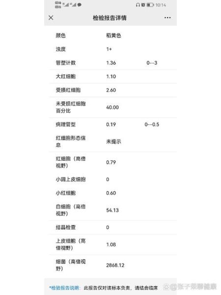 孕妇尿常规细菌高怎么回事_对胎儿有影响吗-第2张图片-星辰妙记 孕妇尿常规细菌高怎么回事_对胎儿有影响吗-第2张图片-星辰妙记