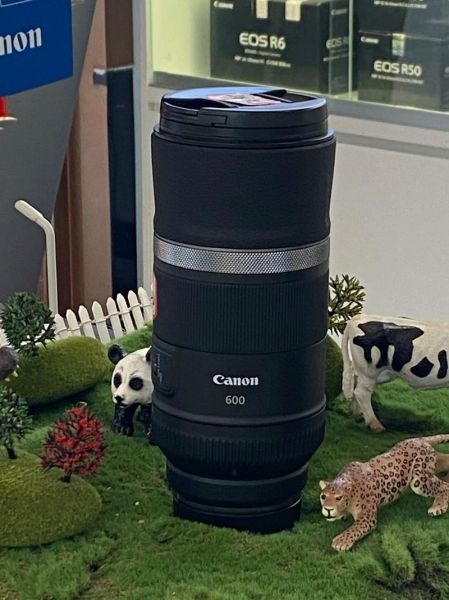 超远镜头怎么选_超远镜头适合拍什么-第2张图片-星辰妙记