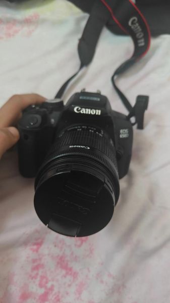 佳能1855镜头适合拍什么_新手入门拍什么题材-第3张图片-星辰妙记