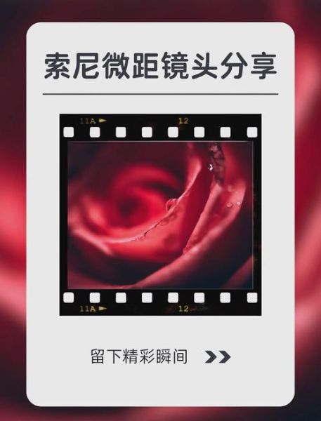 索尼美食镜头推荐哪款_索尼微距镜头怎么选-第1张图片-星辰妙记