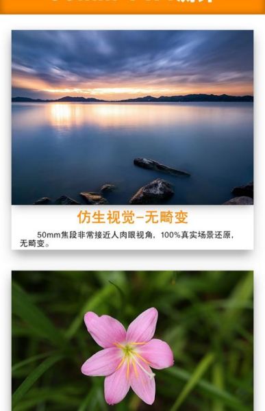 50mm_1.4镜头适合拍什么_如何拍出虚化-第1张图片-星辰妙记 50mm_1.4镜头适合拍什么_如何拍出虚化-第1张图片-星辰妙记