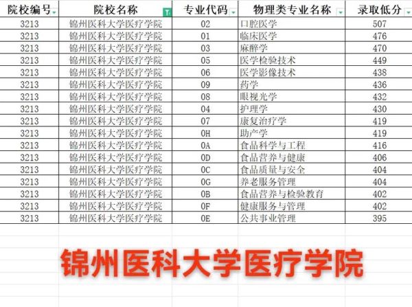 锦州医科大学是几本_录取分数线是多少-第1张图片-星辰妙记