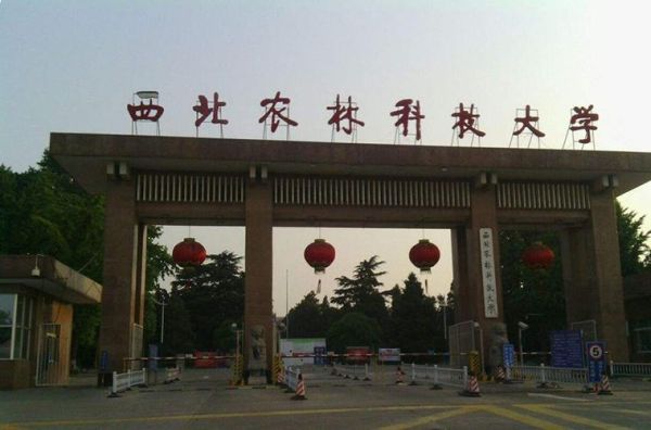 西北农林科技大学植物保护学院怎么样_就业前景好吗-第2张图片-星辰妙记