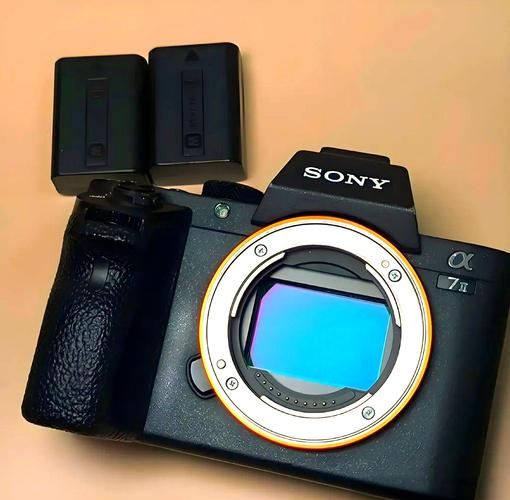 索尼a7m2镜头怎么选_索尼a7m2镜头推荐-第3张图片-星辰妙记