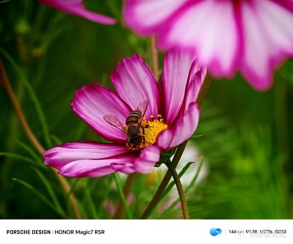 浅景深镜头怎么拍_浅景深镜头适合拍什么-第3张图片-星辰妙记 浅景深镜头怎么拍_浅景深镜头适合拍什么-第3张图片-星辰妙记