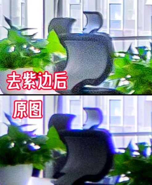 镜头紫边严重怎么办_后期如何消除紫边-第1张图片-星辰妙记 镜头紫边严重怎么办_后期如何消除紫边-第1张图片-星辰妙记