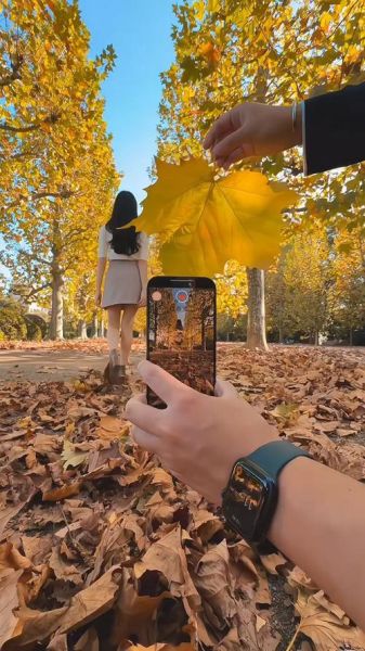 大学摄影课程有哪些_如何用手机拍出大片感-第1张图片-星辰妙记