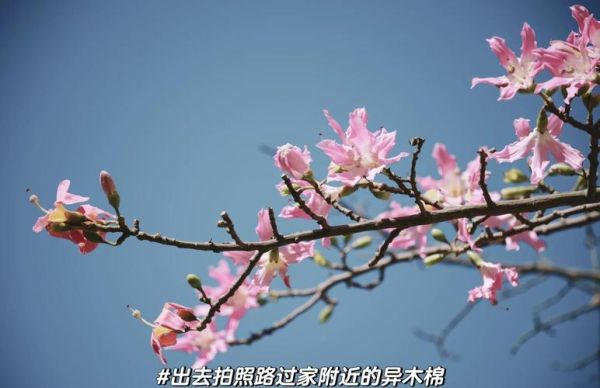 15-85镜头怎么样_适合拍什么题材-第2张图片-星辰妙记 15-85镜头怎么样_适合拍什么题材-第2张图片-星辰妙记