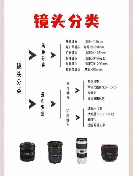 单反镜头怎么拆_拆镜头要注意什么-第2张图片-星辰妙记