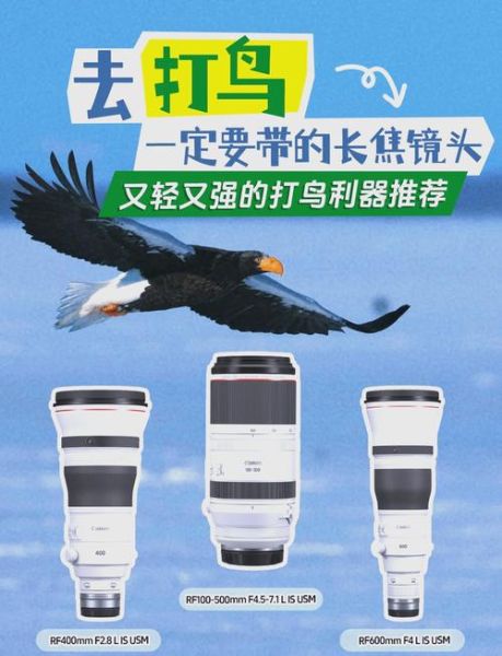 平民打鸟镜头推荐_预算2000以内怎么选-第2张图片-星辰妙记 平民打鸟镜头推荐_预算2000以内怎么选-第2张图片-星辰妙记