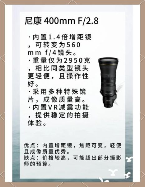 平民打鸟镜头推荐_预算2000以内怎么选-第1张图片-星辰妙记 平民打鸟镜头推荐_预算2000以内怎么选-第1张图片-星辰妙记