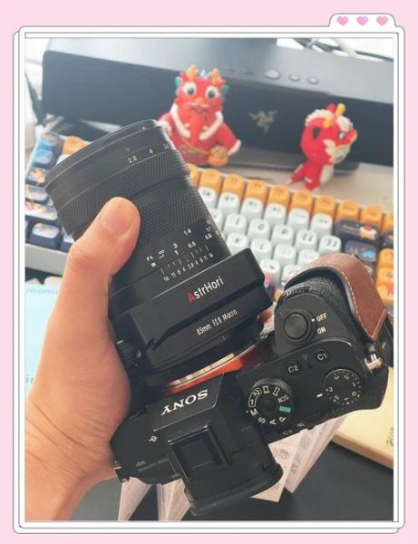 ef85镜头适合拍什么_怎么拍出背景虚化-第1张图片-星辰妙记 ef85镜头适合拍什么_怎么拍出背景虚化-第1张图片-星辰妙记