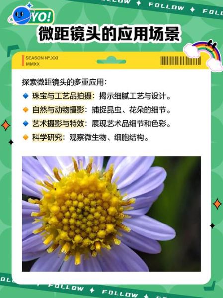 6d微距镜头推荐_6d微距镜头怎么选-第1张图片-星辰妙记