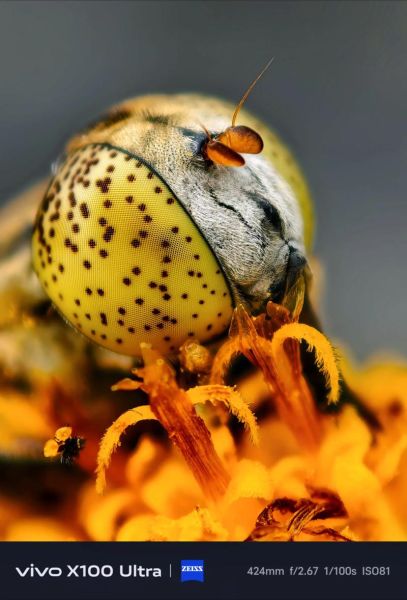 微距镜头手机怎么选_微距镜头手机推荐-第3张图片-星辰妙记