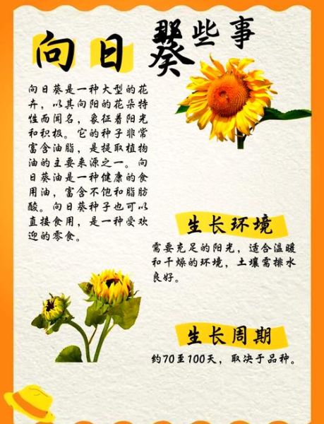 向日葵为什么总是向着太阳_向日葵的生长习性-第1张图片-星辰妙记