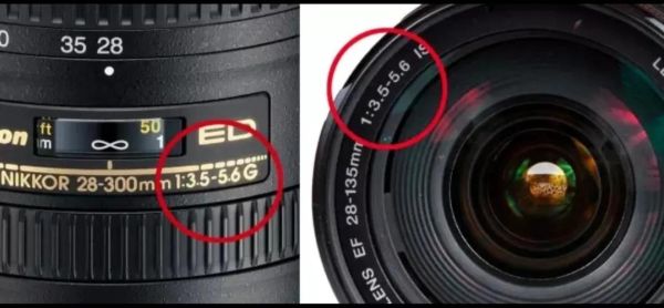 单反打鸟镜头推荐_如何选焦距-第1张图片-星辰妙记 单反打鸟镜头推荐_如何选焦距-第1张图片-星辰妙记