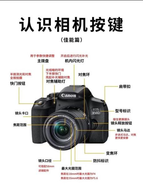 镜头对焦拨杆怎么用_对焦拨杆和按键区别-第1张图片-星辰妙记