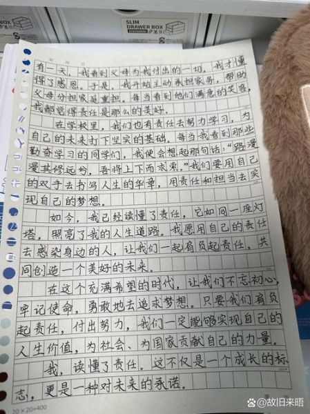 作文这是我的责任怎么写_如何立意才能拿高分-第3张图片-星辰妙记