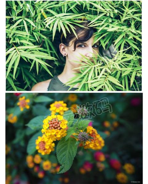 三阳85mm镜头怎么样_适合拍人像吗-第1张图片-星辰妙记