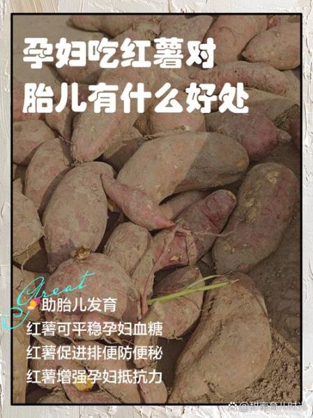 孕妇能吃土豆吗_怀孕吃土豆对胎儿好吗-第1张图片-星辰妙记