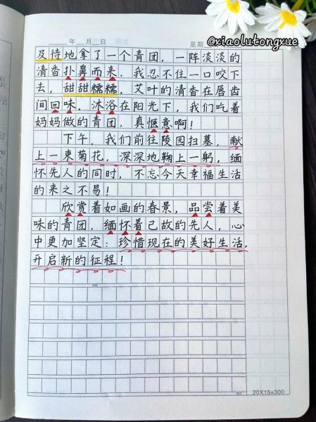 小学生400字作文怎么写_如何提高写作水平-第3张图片-星辰妙记