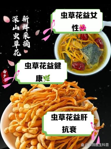 孕妇能吃虫草花吗_孕期吃虫草花注意事项-第2张图片-星辰妙记
