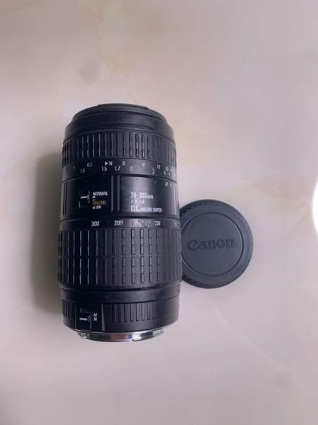 佳能300定焦镜头值得买吗_佳能300定焦镜头适合拍什么-第3张图片-星辰妙记