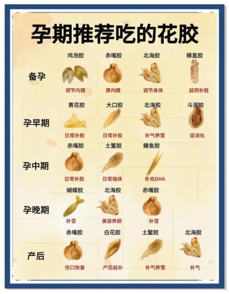 孕妇可以吃鱼胶吗_怀孕吃鱼胶的注意事项-第2张图片-星辰妙记 孕妇可以吃鱼胶吗_怀孕吃鱼胶的注意事项-第2张图片-星辰妙记