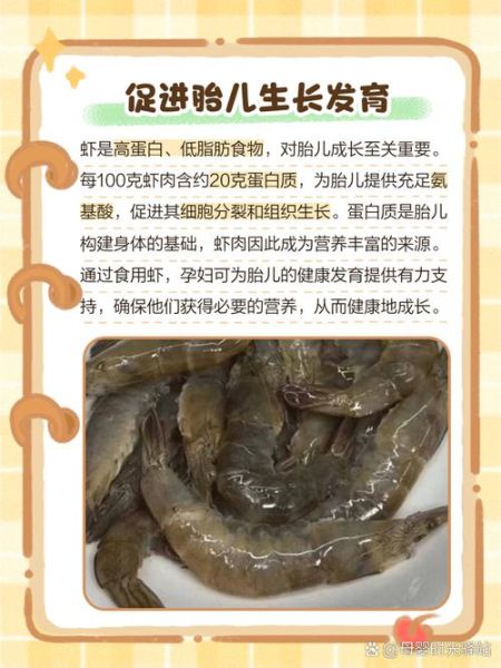 孕妇能吃虾吗_孕妇吃虾注意事项-第1张图片-星辰妙记