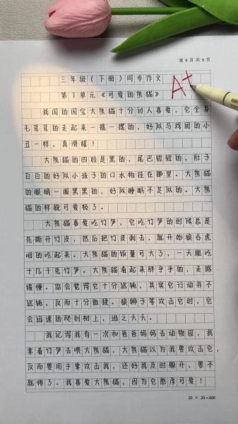 如何写好作文_作文素材100字怎么扩展-第1张图片-星辰妙记 如何写好作文_作文素材100字怎么扩展-第1张图片-星辰妙记