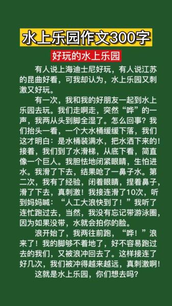 水上乐园游玩作文怎么写_暑假去水上乐园作文800字-第3张图片-星辰妙记