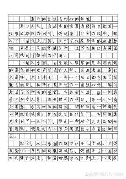水上乐园游玩作文怎么写_暑假去水上乐园作文800字-第1张图片-星辰妙记