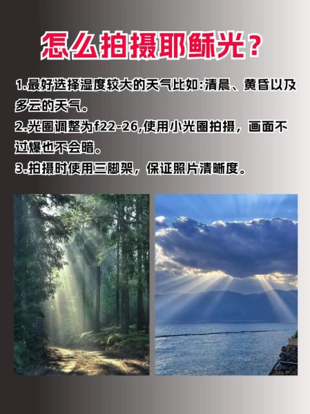 镜头光斑怎么拍_镜头光斑后期怎么做-第2张图片-星辰妙记