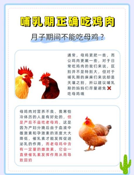 孕妇吃母鸡好还是公鸡好_孕期吃公鸡更营养吗-第2张图片-星辰妙记