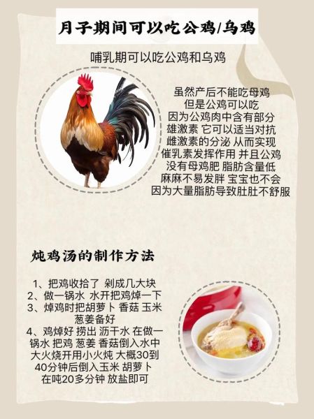 孕妇吃母鸡好还是公鸡好_孕期吃公鸡更营养吗-第3张图片-星辰妙记