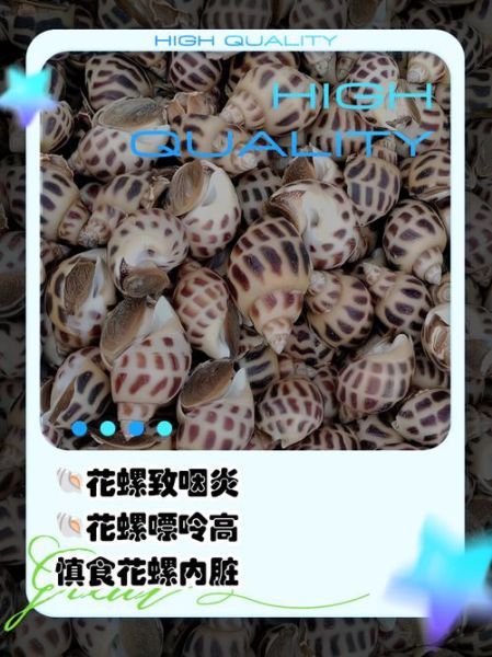 孕妇可以吃花螺吗_花螺对孕妇安全吗-第3张图片-星辰妙记