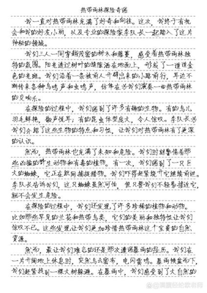 探险作文600字怎么写_探险作文600字写作技巧-第1张图片-星辰妙记