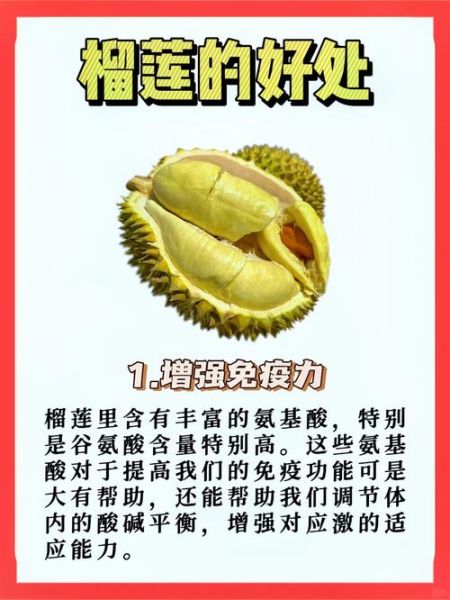 孕妇能吃榴莲吗_榴莲对孕妇有什么好处-第1张图片-星辰妙记