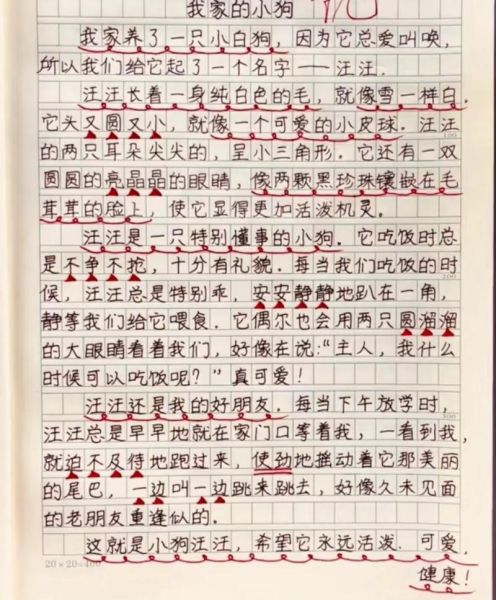 动物作文怎么写_描写小动物作文技巧-第2张图片-星辰妙记 动物作文怎么写_描写小动物作文技巧-第2张图片-星辰妙记