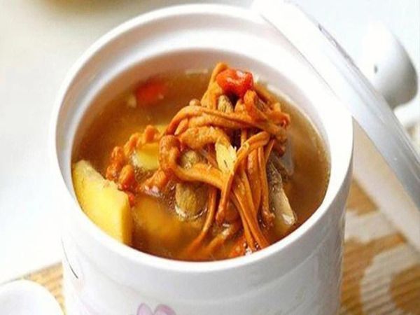 孕妇可以喝虫草花汤吗_虫草花汤对胎儿有影响吗-第1张图片-星辰妙记