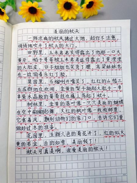 秋天作文怎么写_描写秋天的优美段落-第3张图片-星辰妙记