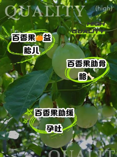 孕妇能吃百香果吗_百香果对胎儿的好处-第1张图片-星辰妙记