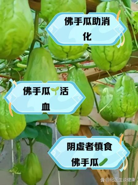 孕妇可以吃佛手瓜吗_佛手瓜对胎儿有影响吗-第1张图片-星辰妙记 孕妇可以吃佛手瓜吗_佛手瓜对胎儿有影响吗-第1张图片-星辰妙记