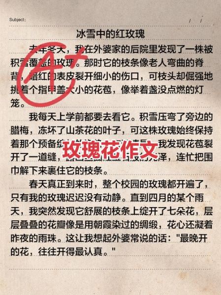 玫瑰园怎么写作文_玫瑰园作文素材有哪些-第2张图片-星辰妙记