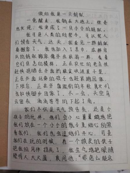 六年级第一单元作文怎么写_如何写出高分作文-第3张图片-星辰妙记